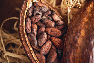 Treatment Mayan Cacao   90 minutes